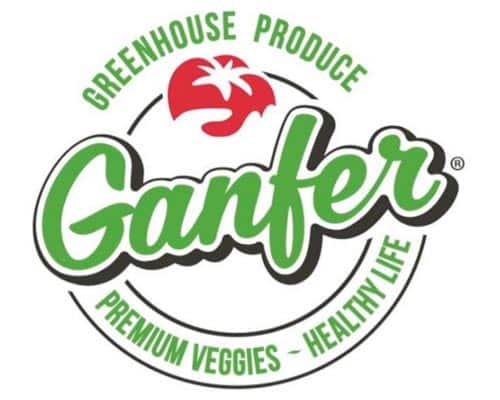 Ganfer