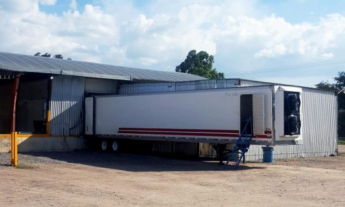 Sinaloa - Pimiento de AGRICOLA DON GABO | Pre-enfrío Móvil Interno