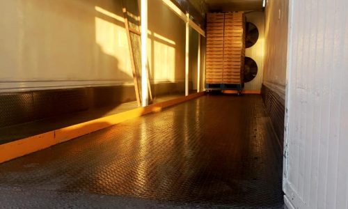 Michoacan - Fresas de CAMPRHAD | Pre-enfrío Móvil Interno