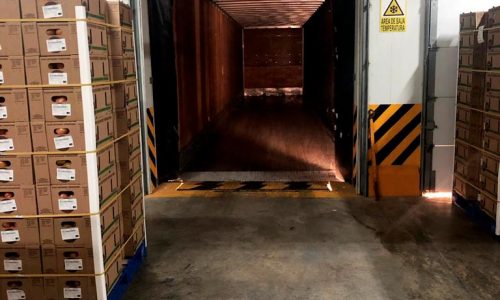 Baja California Sur - Tomates de CAROLINA PRODUCE | Pre-enfrío Móvil Interno