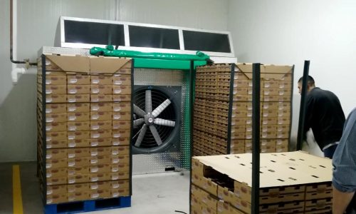 Camara de Pre-enfrío