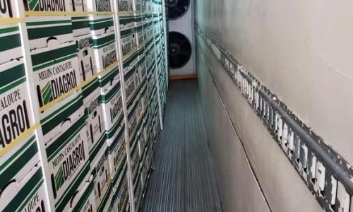 Sonora - Melones de Diagro | Interior de un Pre-enfrío Móvil Interno