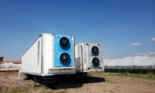 Michoacán - Fresas de FRESAS FREDDY | Pre-enfrío Móvil Interno