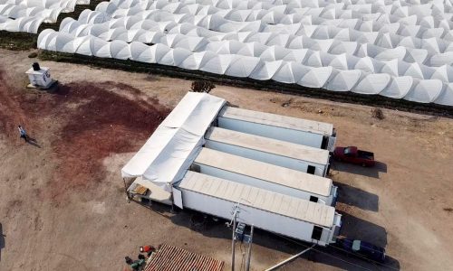 Michoacán - Fresas de FRESAS FREDDY | Pre-enfrío Móvil Interno