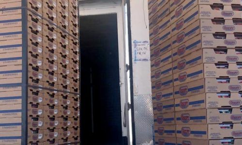 Michoacán - Fresas de FRESAS FREDDY | Pre-enfrío Móvil Interno