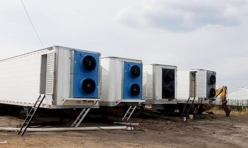 Michoacán - Fresas de FRESAS FREDDY | Pre-enfrío Móvil Interno