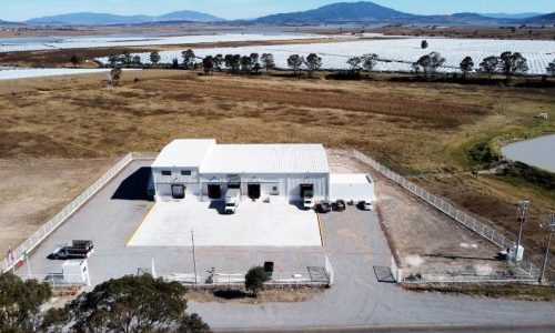 Proyecto con Fresas Freddy