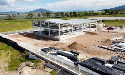 Proyecto con Fresas Freddy