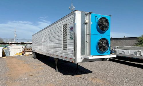 Jalisco - Zarzamora de GIANT BERRIES| Pre-enfrío Móvil Interno