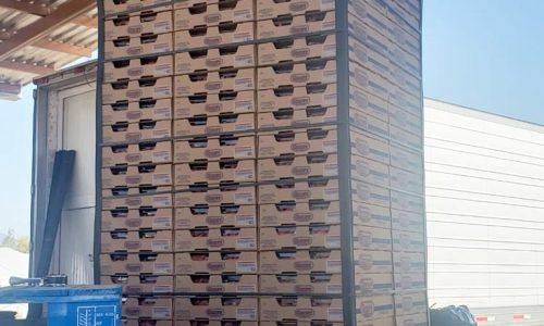 Michoacán - Fresas de GRHERIOS | Pre-enfrío Móvil Interno