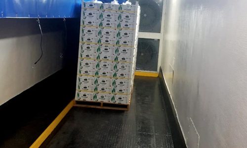 Interior de Pre-enfrío Móvil Interno