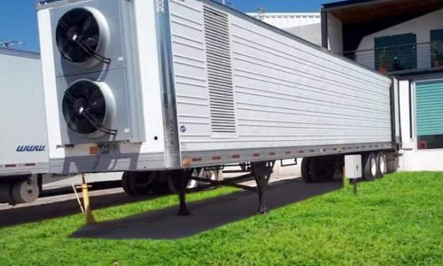 Colima - Piña de CHULABRAND | Pre-enfrío Móvil Interno