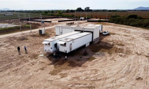 Sinaloa - Arándanos de TEHUECO | Conservación Móvil