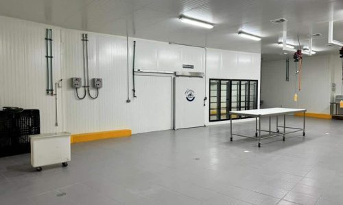 Proyecto con Taqueria el Chino