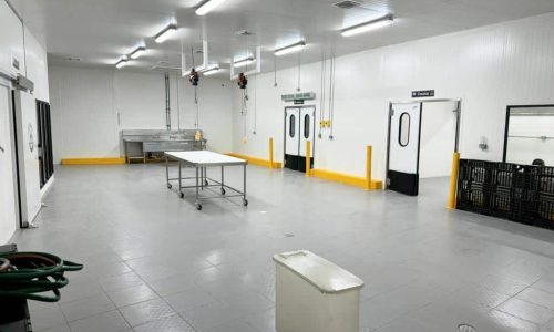 Proyecto con Taqueria el Chino